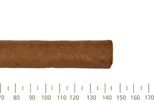Punch Punch Punch 25 Cigars