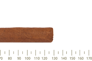 Partagas Mille Fleurs 5 Cigars