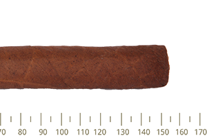 Romeo Y Julieta Capuletos 25 Cigars (Le16)