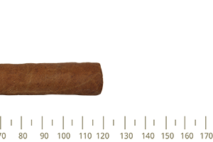 Punch Petit Coronations A/T 25 Cigars