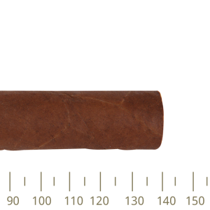 Punch Punch 48 10C (Cdh16)