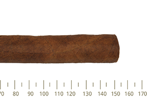 Punch Punch A/T 10 Cigars