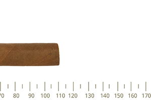 Partagas Shorts 25 Cigars