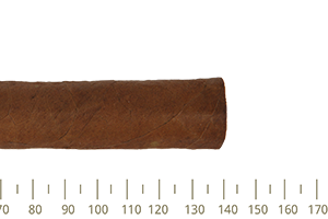 Romeo Y Julieta Belicosos 25 Cigars