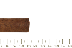 Montecristo Petit Edmundo 10 Cigars
