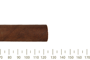 Partagas Serie D No.4 10 Cigars
