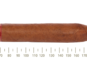 Partagas Salomones 10Cp (LCH)