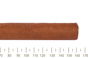 Partagas Seleccion Privada 10 Cigars (LE14)