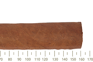 Partagas Serie D No.5 A/T 3 Cigars